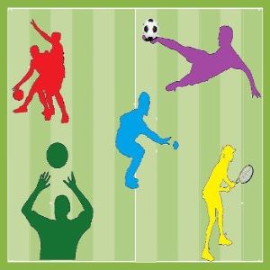 Terrains de sport